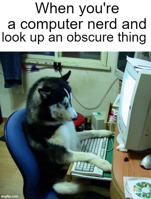I Have No Idea What I Am Doing |  When you're a computer nerd and; look up an obscure thing | image tagged in memes,i have no idea what i am doing | made w/ Imgflip meme maker