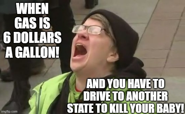 and you have to drive to another state to kill your baby!! |  WHEN GAS IS 6 DOLLARS A GALLON! AND YOU HAVE TO DRIVE TO ANOTHER STATE TO KILL YOUR BABY! | image tagged in screaming liberal,stupid liberals,morons,idiots,gas prices | made w/ Imgflip meme maker