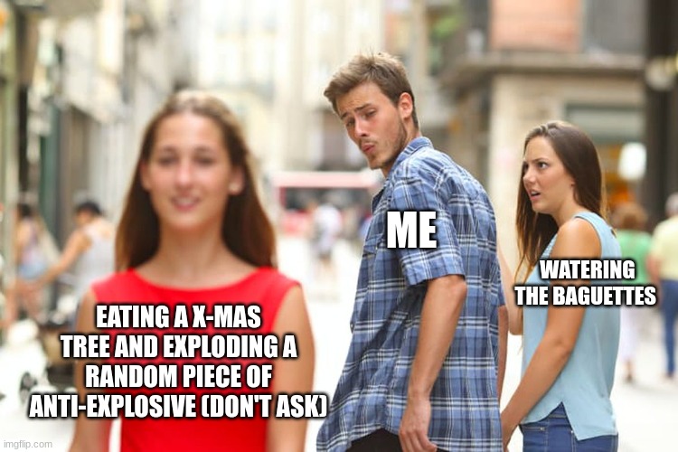 Distracted Boyfriend Meme | EATING A X-MAS TREE AND EXPLODING A RANDOM PIECE OF ANTI-EXPLOSIVE (DON'T ASK) ME WATERING THE BAGUETTES | image tagged in memes,distracted boyfriend | made w/ Imgflip meme maker