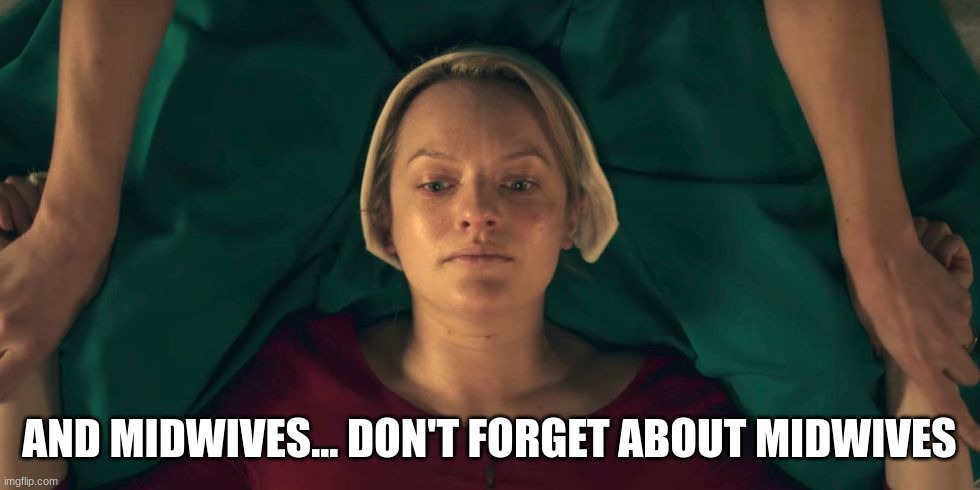Handmaid | AND MIDWIVES... DON'T FORGET ABOUT MIDWIVES | image tagged in handmaid | made w/ Imgflip meme maker