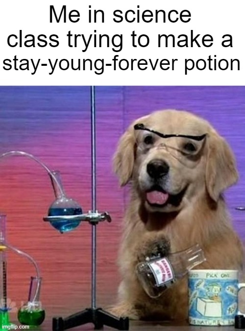 I Have No Idea What I Am Doing Dog Meme |  stay-young-forever potion; Me in science class trying to make a | image tagged in memes,i have no idea what i am doing dog | made w/ Imgflip meme maker