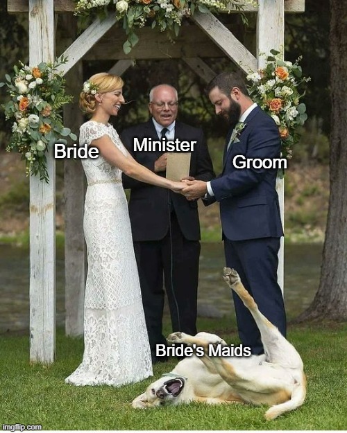 Weddings are a great place to score | Minister; Groom; Bride; Bride's Maids | made w/ Imgflip meme maker