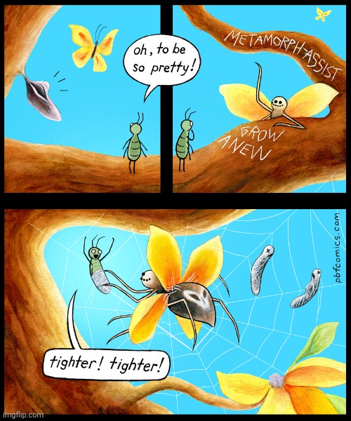 Insects | image tagged in caterpillar,butterfly,insects,comics,comic,comics/cartoons | made w/ Imgflip meme maker