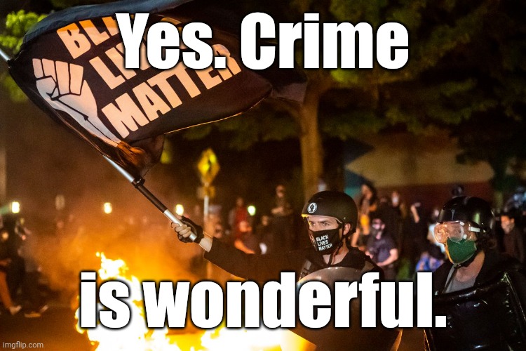 democrats being democrats | Yes. Crime is wonderful. | image tagged in democrats being democrats | made w/ Imgflip meme maker