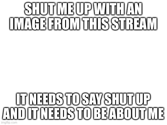 Blank White Template | SHUT ME UP WITH AN IMAGE FROM THIS STREAM; IT NEEDS TO SAY SHUT UP AND IT NEEDS TO BE ABOUT ME | image tagged in blank white template | made w/ Imgflip meme maker