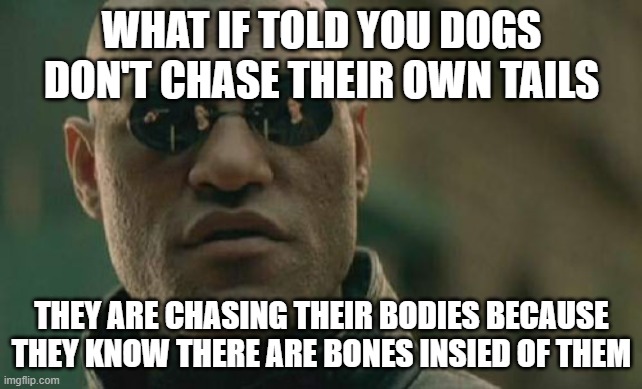 you heard it here first | WHAT IF TOLD YOU DOGS DON'T CHASE THEIR OWN TAILS; THEY ARE CHASING THEIR BODIES BECAUSE THEY KNOW THERE ARE BONES INSIED OF THEM | image tagged in memes,matrix morpheus,dogs,funny,true,funny memes | made w/ Imgflip meme maker