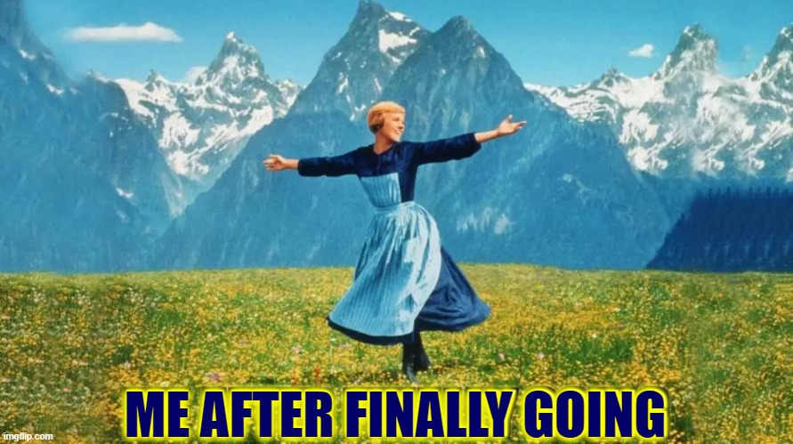 The Emptiness is so Fulfilling | ME AFTER FINALLY GOING | image tagged in vince vance,julie andrews,sound of music,memes,constipation,pooping | made w/ Imgflip meme maker