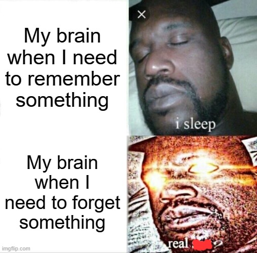 it was hard to remember this idea | My brain when I need to remember something; My brain when I need to forget something | image tagged in memes,sleeping shaq,funny | made w/ Imgflip meme maker