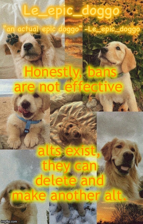 Doggo temp by doggo. Wait what that’s confusing | Honestly, bans are not effective; alts exist, they can delete and make another alt. | image tagged in doggo temp by doggo wait what that s confusing | made w/ Imgflip meme maker