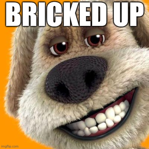 Ben | BRICKED UP | image tagged in ben dog | made w/ Imgflip meme maker