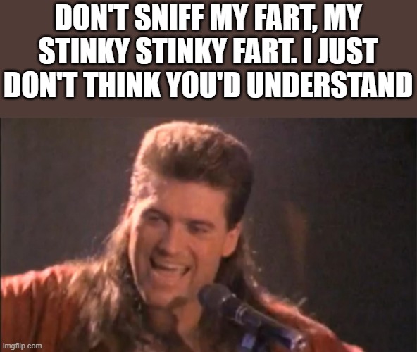 Stinky Stinky Fart |  DON'T SNIFF MY FART, MY STINKY STINKY FART. I JUST DON'T THINK YOU'D UNDERSTAND | image tagged in achy breaky heart,billy ray cyrus,fart,stinky,funny,memes | made w/ Imgflip meme maker
