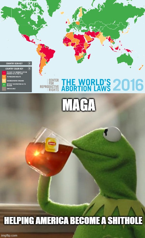 Soon to be like any other 2 bit shithole countries they are always complaining about. | MAGA; HELPING AMERICA BECOME A SHITHOLE | image tagged in memes,but that's none of my business,overpopulation,freedom,lock him up,politics | made w/ Imgflip meme maker