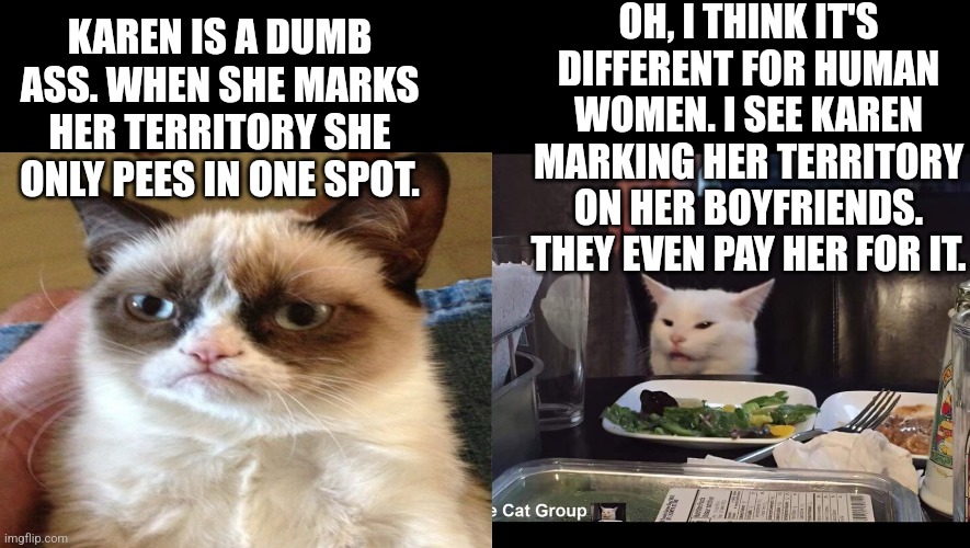 OH, I THINK IT'S DIFFERENT FOR HUMAN WOMEN. I SEE KAREN MARKING HER TERRITORY ON HER BOYFRIENDS. THEY EVEN PAY HER FOR IT. KAREN IS A DUMB ASS. WHEN SHE MARKS HER TERRITORY SHE ONLY PEES IN ONE SPOT. | image tagged in smudge the cat | made w/ Imgflip meme maker