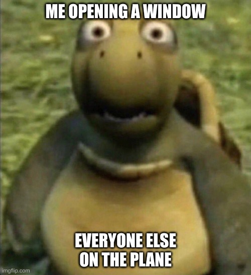 I was just hot | ME OPENING A WINDOW; EVERYONE ELSE ON THE PLANE | image tagged in shocked turtle | made w/ Imgflip meme maker