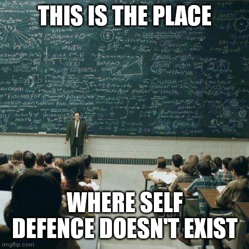 School | THIS IS THE PLACE; WHERE SELF DEFENCE DOESN'T EXIST | image tagged in school,self defense,school bully,school punishing the victim | made w/ Imgflip meme maker