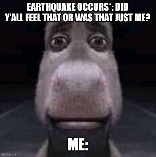Donkey staring | EARTHQUAKE OCCURS*: DID Y’ALL FEEL THAT OR WAS THAT JUST ME? ME: | image tagged in donkey staring | made w/ Imgflip meme maker