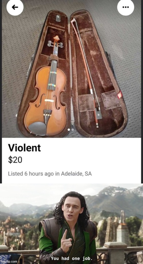 Violent | image tagged in you had one job just the one,violin,violent,expensive,smh | made w/ Imgflip meme maker