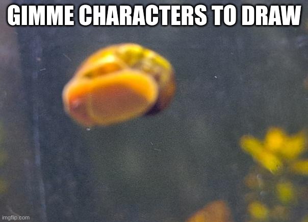 epic snail1!!11!11!!11 | GIMME CHARACTERS TO DRAW | image tagged in epic snail1 11 11 11 | made w/ Imgflip meme maker