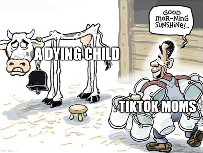 milking the cow | A DYING CHILD; TIKTOK MOMS | image tagged in milking the cow | made w/ Imgflip meme maker