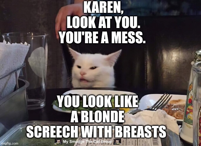 KAREN, LOOK AT YOU. YOU'RE A MESS. YOU LOOK LIKE A BLONDE SCREECH WITH BREASTS | image tagged in smudge the cat | made w/ Imgflip meme maker