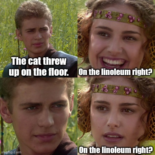 Always happens. | The cat threw up on the floor. On the linoleum right? On the linoleum right? | image tagged in anakin padme 4 panel,funny | made w/ Imgflip meme maker