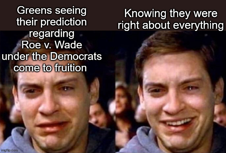 It hurts to be right | Knowing they were right about everything; Greens seeing their prediction regarding Roe v. Wade under the Democrats come to fruition | image tagged in peter parker cry then smile,green party,abortion | made w/ Imgflip meme maker
