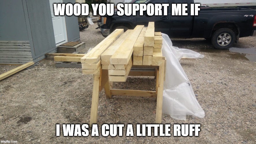Funny | WOOD YOU SUPPORT ME IF; I WAS A CUT A LITTLE RUFF | image tagged in funny memes | made w/ Imgflip meme maker