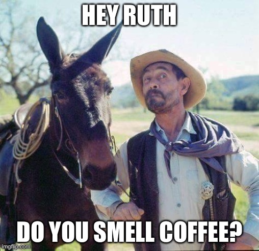 Do you smell coffee | HEY RUTH; DO YOU SMELL COFFEE? | image tagged in festus | made w/ Imgflip meme maker