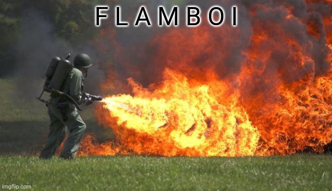 flamethrower | F L A M B O I | image tagged in flamethrower | made w/ Imgflip meme maker