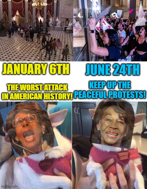 It's not wrong when we do it! | JANUARY 6TH; JUNE 24TH; KEEP UP THE PEACEFUL PROTESTS! THE WORST ATTACK IN AMERICAN HISTORY! | image tagged in angry chihuahua happy chihuahua,liberal logic,liberal hypocrisy,political meme,abortion,maxine waters | made w/ Imgflip meme maker