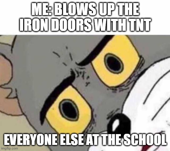 Tom Cat Unsettled Close up | ME: BLOWS UP THE IRON DOORS WITH TNT; EVERYONE ELSE AT THE SCHOOL | image tagged in tom cat unsettled close up,minecraft,tnt,school,tom and jerry | made w/ Imgflip meme maker