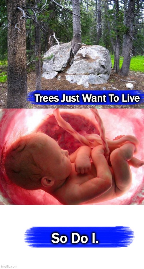 Life. Give it a Chance. | Trees Just Want To Live; So Do I. | image tagged in politics,life,love,conservative logic,values,give it a chance | made w/ Imgflip meme maker
