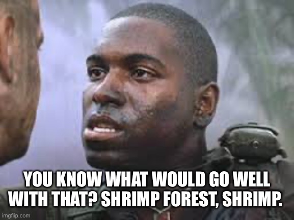 Bubba Gump | YOU KNOW WHAT WOULD GO WELL WITH THAT? SHRIMP FOREST, SHRIMP. | image tagged in bubba gump | made w/ Imgflip meme maker