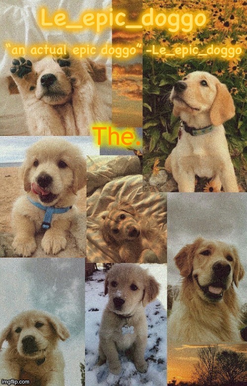 Doggo temp by doggo. Wait what that’s confusing | The. | image tagged in doggo temp by doggo wait what that s confusing | made w/ Imgflip meme maker