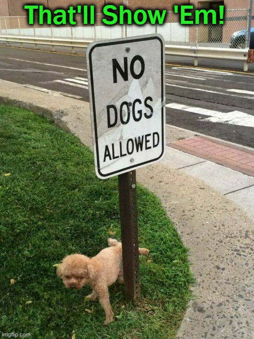 Retaliation with a Dash of Retribution | That'll Show 'Em! | image tagged in fun,dogs pets funny,signs,payback,lol,get off my lawn | made w/ Imgflip meme maker