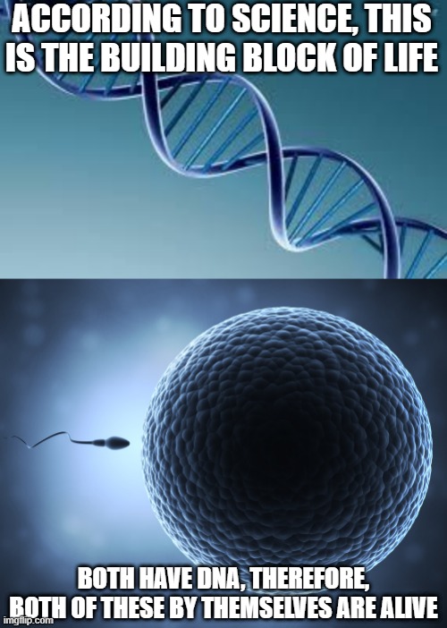 Why are We Arguing in Favor of Abortion Again??? | ACCORDING TO SCIENCE, THIS IS THE BUILDING BLOCK OF LIFE; BOTH HAVE DNA, THEREFORE, BOTH OF THESE BY THEMSELVES ARE ALIVE | image tagged in dna,sperm and egg | made w/ Imgflip meme maker