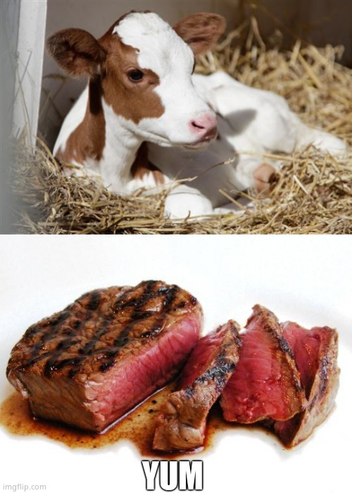 YUM | image tagged in veal,rare steak | made w/ Imgflip meme maker