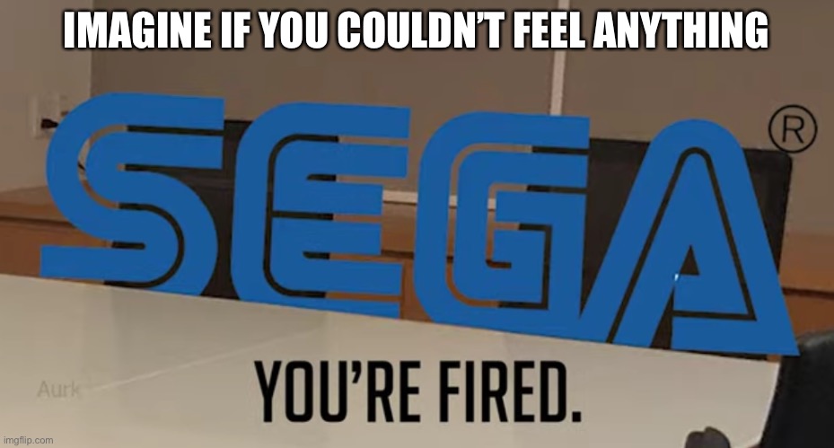 IMAGINE IF YOU COULDN’T FEEL ANYTHING | image tagged in you re fired | made w/ Imgflip meme maker