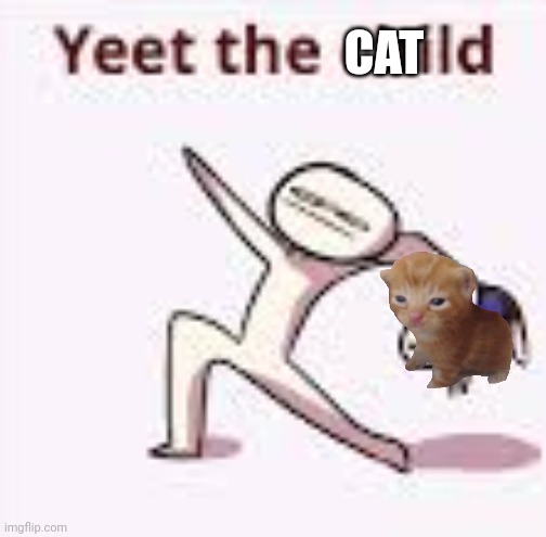 single yeet the child panel | CAT | image tagged in single yeet the child panel | made w/ Imgflip meme maker