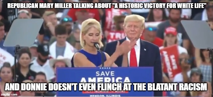 Mary Miller | REPUBLICAN MARY MILLER TALKING ABOUT "A HISTORIC VICTORY FOR WHITE LIFE"; AND DONNIE DOESN'T EVEN FLINCH AT THE BLATANT RACISM | image tagged in mary miller | made w/ Imgflip meme maker