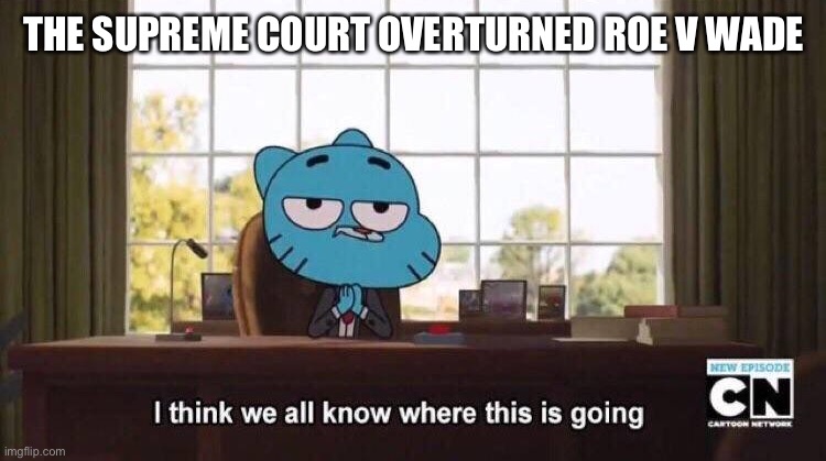 I think we all know where this is going |  THE SUPREME COURT OVERTURNED ROE V WADE | image tagged in i think we all know where this is going | made w/ Imgflip meme maker