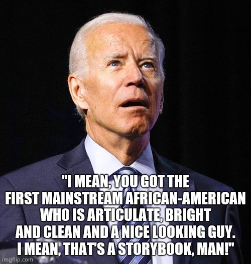 Joe Biden | "I MEAN, YOU GOT THE FIRST MAINSTREAM AFRICAN-AMERICAN WHO IS ARTICULATE, BRIGHT AND CLEAN AND A NICE LOOKING GUY. I MEAN, THAT'S A STORYBOO | image tagged in joe biden | made w/ Imgflip meme maker
