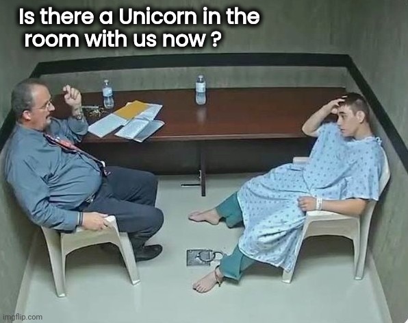 Is there a Unicorn in the
   room with us now ? | made w/ Imgflip meme maker
