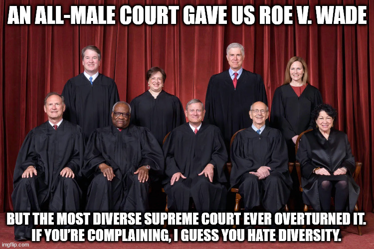 SO AN ALL-MALE COURT GAVE US ROE V. WADE, but the most diverse Supreme Court ever overturned it. If you’re complaining, I guess  |  AN ALL-MALE COURT GAVE US ROE V. WADE; BUT THE MOST DIVERSE SUPREME COURT EVER OVERTURNED IT.
IF YOU’RE COMPLAINING, I GUESS YOU HATE DIVERSITY. | image tagged in supreme court 2021,supreme court,roe vs wade,diversity | made w/ Imgflip meme maker