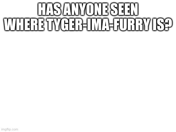 im concerned | HAS ANYONE SEEN WHERE TYGER-IMA-FURRY IS? | image tagged in blank white template | made w/ Imgflip meme maker