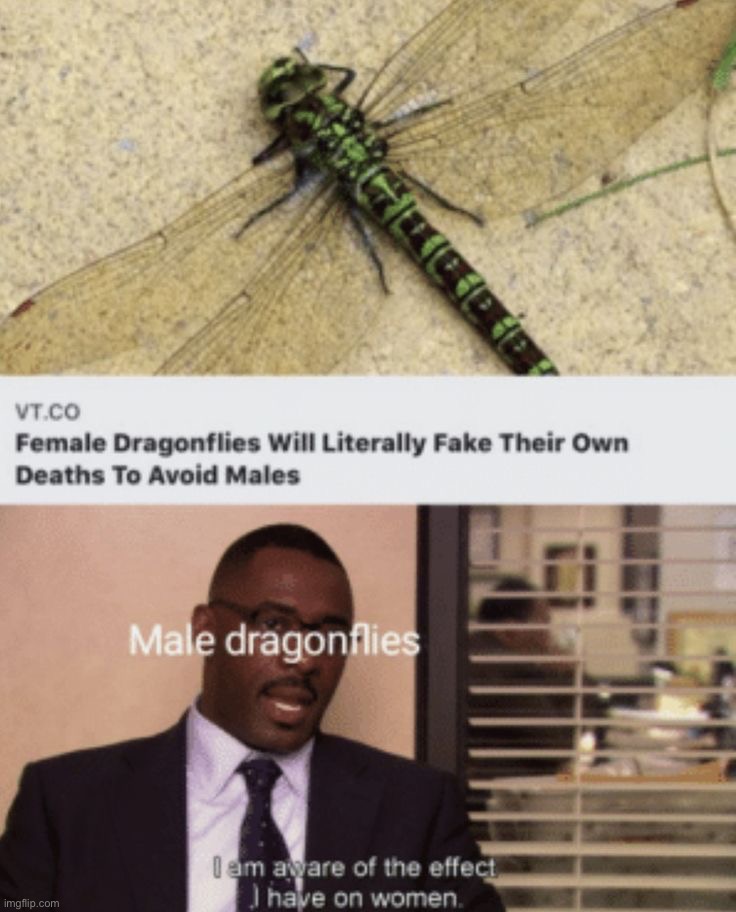 image tagged in memes,funny | made w/ Imgflip meme maker
