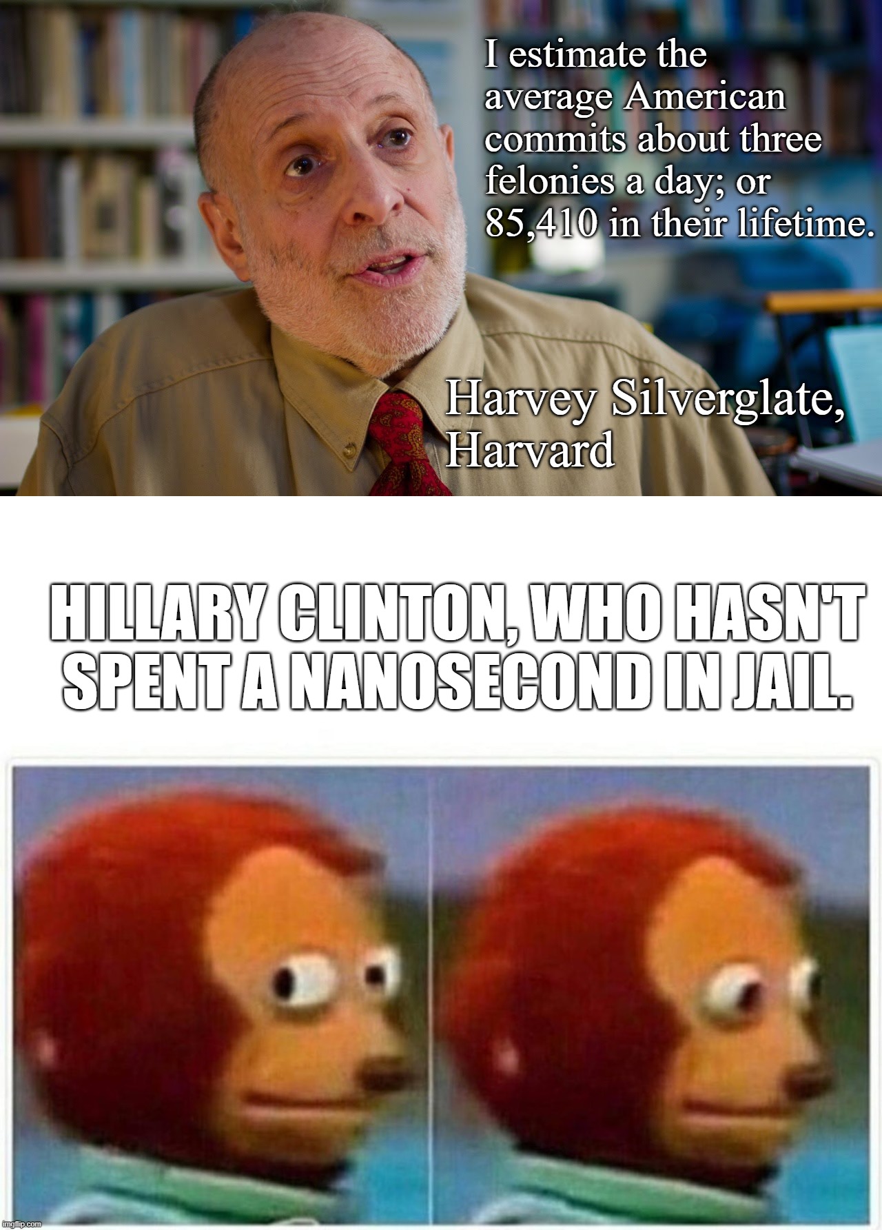 I estimate the average American commits about three felonies a day; or 85,410 in their lifetime. Harvey Silverglate, 
Harvard; HILLARY CLINTON, WHO HASN'T SPENT A NANOSECOND IN JAIL. | image tagged in memes,monkey puppet | made w/ Imgflip meme maker