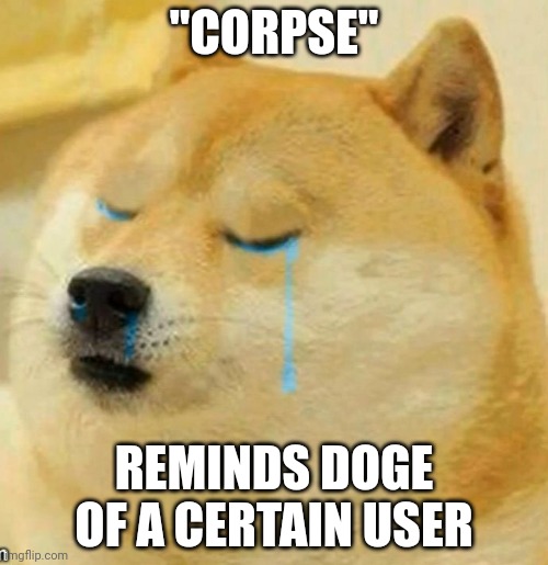sad doge | "CORPSE" REMINDS DOGE OF A CERTAIN USER | image tagged in sad doge | made w/ Imgflip meme maker