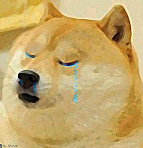 sad doge | image tagged in sad doge | made w/ Imgflip meme maker