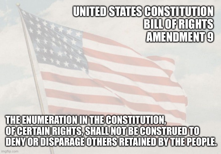 Patriotic | UNITED STATES CONSTITUTION 
BILL OF RIGHTS 
AMENDMENT 9; THE ENUMERATION IN THE CONSTITUTION, OF CERTAIN RIGHTS, SHALL NOT BE CONSTRUED TO DENY OR DISPARAGE OTHERS RETAINED BY THE PEOPLE. | image tagged in patriotic | made w/ Imgflip meme maker